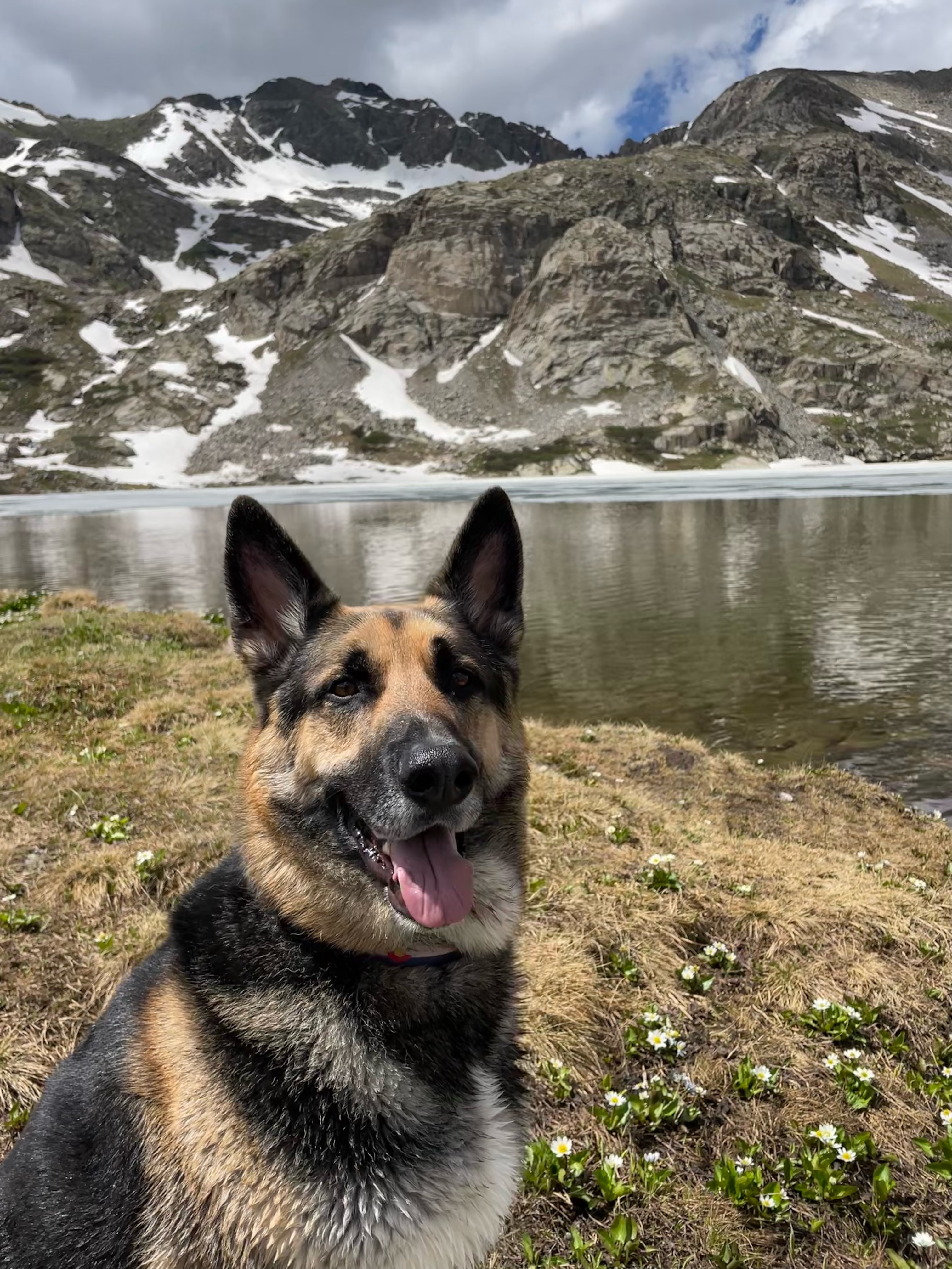 START LLC – The Stats Company